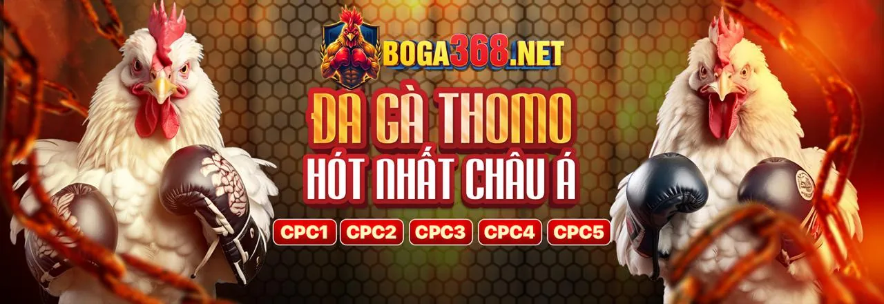 Tổng quan các loại khuyến mãi HI88BET